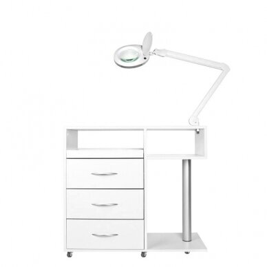 Professional trolley-cabinet for beauticians with space for a lamp to insert a magnifying glass Y-300, white 14