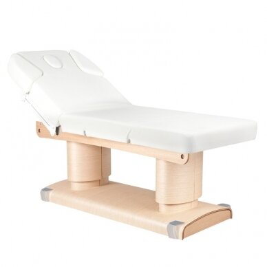 Professional electric massage and SPA couch-bed with heating function SPA AZZURO 838 (4 motors)