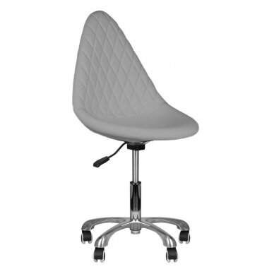 Professional cosmetology masters chair 265, gray color