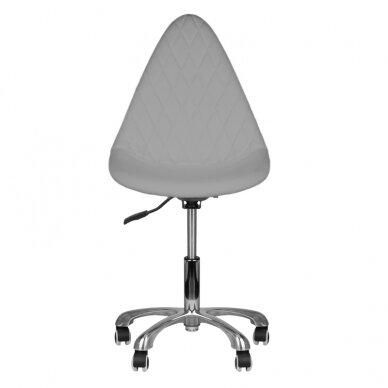 Professional cosmetology masters chair 265, gray color 3