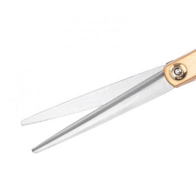 Professional hairdressing scissors SNIPPEX GOLD 6.0 1