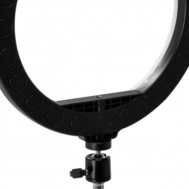 GLOW profesionali makiažo lempa LED RING 10" bsc su stovu 10W 8