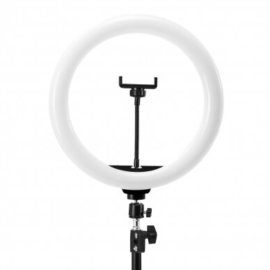 GLOW professional make-up lamp LED RING 13" bsc with stand 10W  3