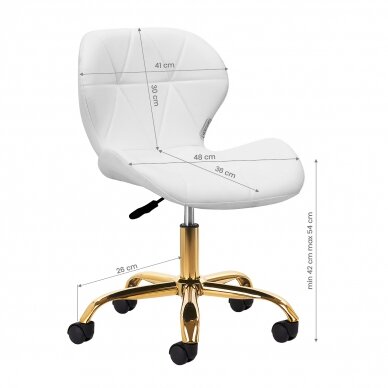 Professional beauty salon chair with wheels QS-06G, white color 6