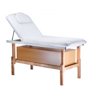 Professional stationary massage table BD-8240A, white color