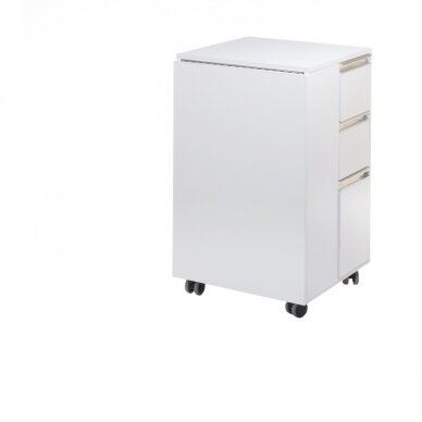 Professional manicure table BD-3802, white color 2