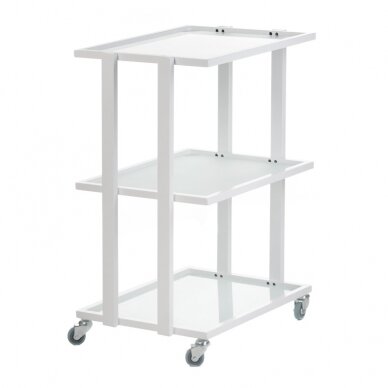 Professional trolley for beauty salons BCH-5043, white color 1