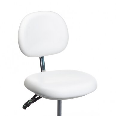 Professional chair for beauticians and beauty salons BD-Y941, white color 1