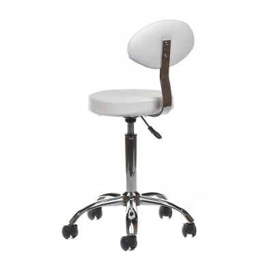 Professional master&#39;s chair for beauticians and beauty salons BH-7289, white color 3