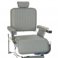 Professional barbers and beauty salons haircut chair LUMBER BH-31823,  light gray color