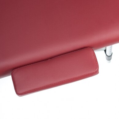 Professional folding massage table BS-723,  border color 7