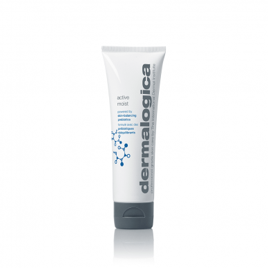 DERMALOGICA Active Moist face moisturizing cream OIL-FREE 2