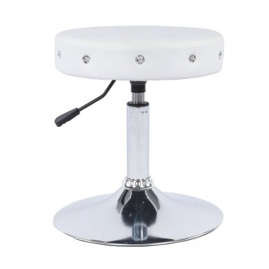 Professional beauty salons and beauticians stool HC1102CN, white eco leather