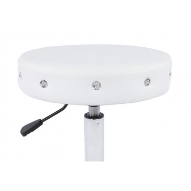 Professional beauty salons and beauticians stool HC1102CN, white eco leather 1