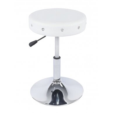 Professional beauty salons and beauticians stool HC1102CN, white eco leather 2