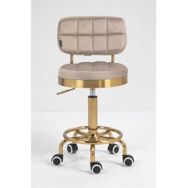 Masters chair for beauty salons and beauticians HR636, latte velor 1