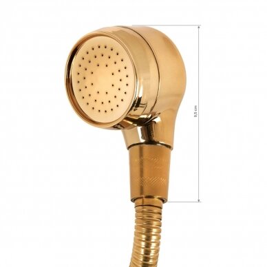 GABBIANO replacement shower head for hairdressing sink, gold color 3