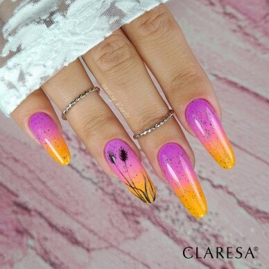 CLARESA long lasting hybrid gel polish FESTIVAL VIBES 3, 5g. 3