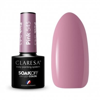 CLARESA long lasting hybrid gel polish PINK 543, 5g.