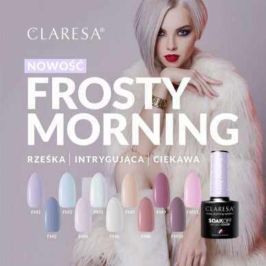 CLARESA стойкий гибридный гель лак для ногтей Frosty Morning 10, 5g. 2