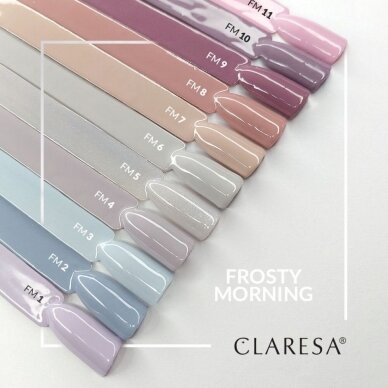 CLARESA стойкий гибридный гель лак для ногтей Frosty Morning 10, 5g. 1