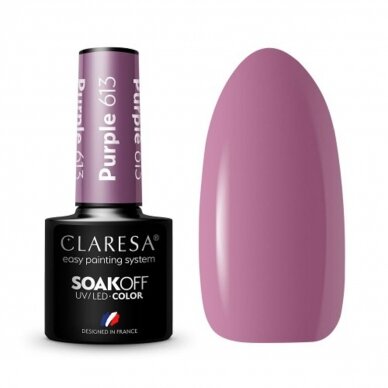 CLARESA long lasting hybrid gel polish PURPLE 613, 5g.