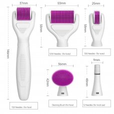 DERMA ROLLER set 6 in 1 for microneedling facial procedures