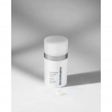 DERMALOGICA PowerBright Overnight Cream nourishing night cream, 50ml. 1