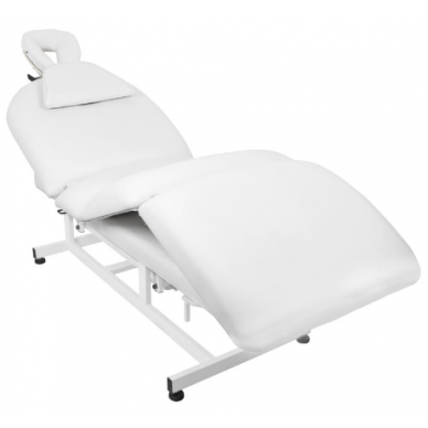 Professional electric massage bed-bed for beauty salons AZZURRO 693A (1 motor)