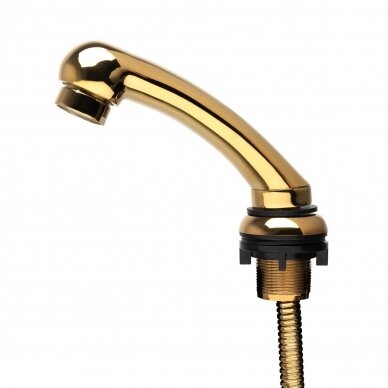 GABBIANO replacement shower head for hairdressing sink, gold color