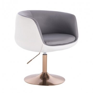 Grožio salono kėdė stabiliu pagrindu arba su ratukais HC333N, pilkos spalvos 8