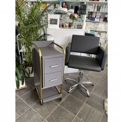 Professional beauty salon trolley GABBIANO SOLO, gray with gold frame 5