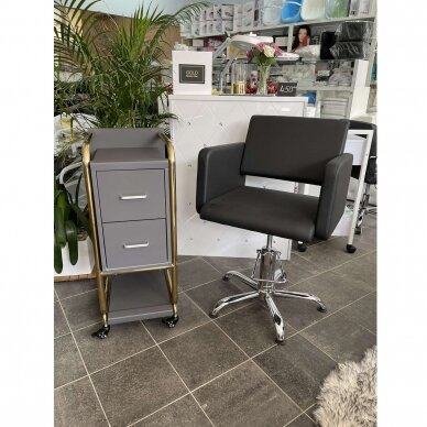 Professional beauty salon trolley GABBIANO SOLO, gray with gold frame 4