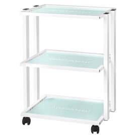 GIOVANNI CLASSIC TYP 1041 professional cosmetology trolley with a wide surface with a place for lamps and magnifiers 2