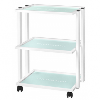 GIOVANNI CLASSIC TYP 1041 professional cosmetology trolley with a wide surface with a place for lamps and magnifiers 1