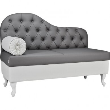 Grožio salono laukiamojo sofa MADAME