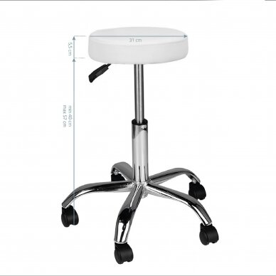 Professional master chair with wheels AM-310, white color 2