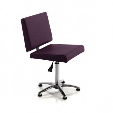 Professional master chair for beauticians and beauty salons REM UK SALSA 3