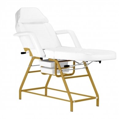 Professional cosmetology bed-chair for beauty procedures 557G, white-gold color 2