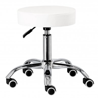 Professional craftsman chair CALISSIMO SD-Y14-WHITE 4