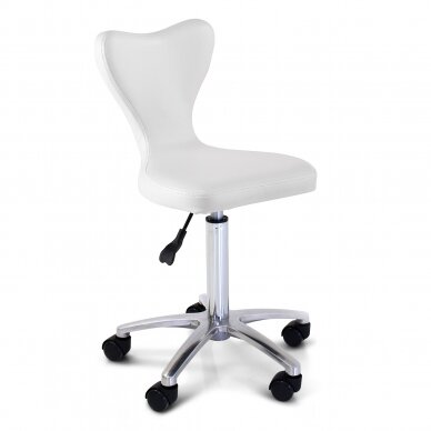 Professional master chair for beauticians and beauty salons REM UK CLOVER 5