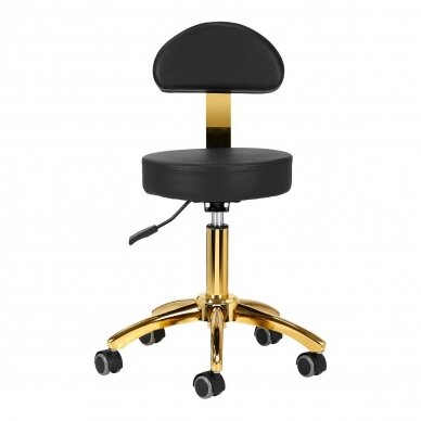 Professional master chair for beauticians AM-304G, black with gold details 2