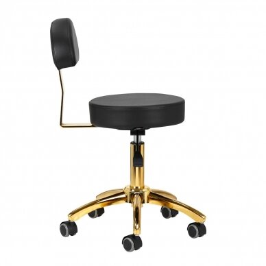 Professional master chair for beauticians AM-304G, black with gold details 1