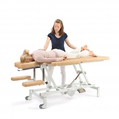 Professional electric physiotherapy and massage table EQ-1908 8