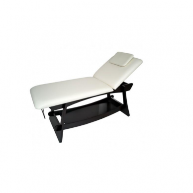 Professional classic massage table SPA DELTA