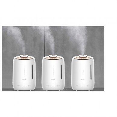 Professional air humidifier-diffuser Deerma F600 1