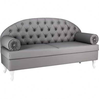 Grožio salono laukiamojo sofa ROYAL