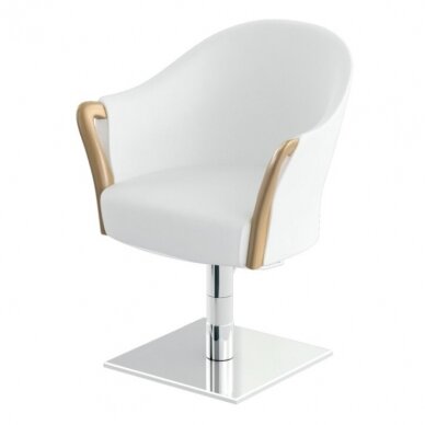 Professional chair for SPA & WELLNESS beauty salon