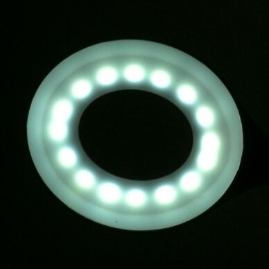 Professional table lamp LED SNAKE RING 2