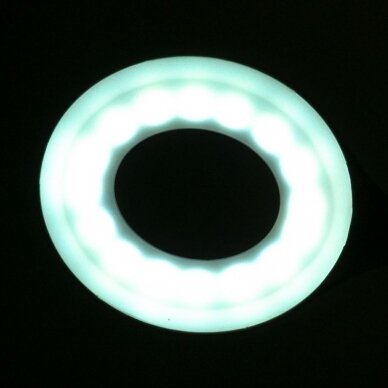 Professional table lamp LED SNAKE RING 4